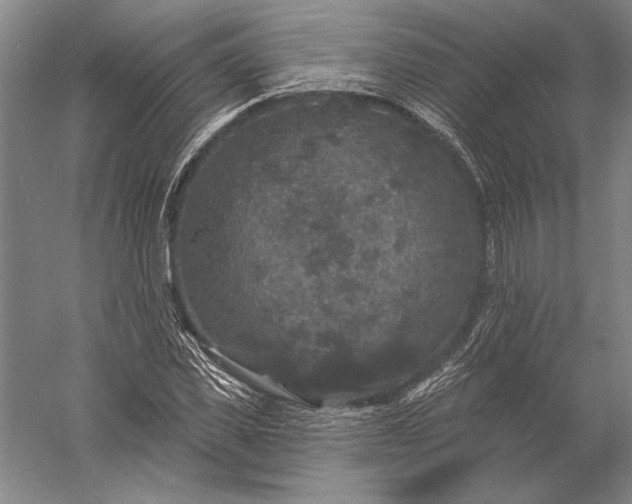 X0000056350925200509091552