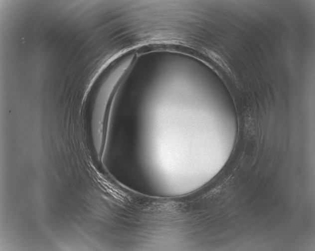 X0000056350926200509091552