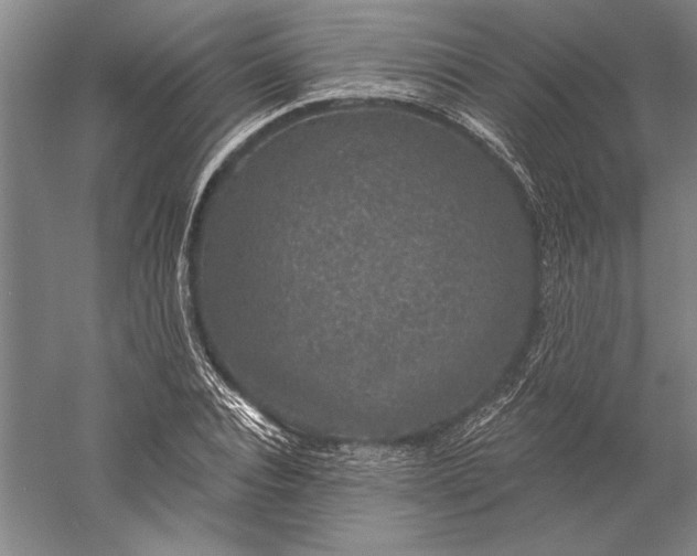 X0000056350928200509091552