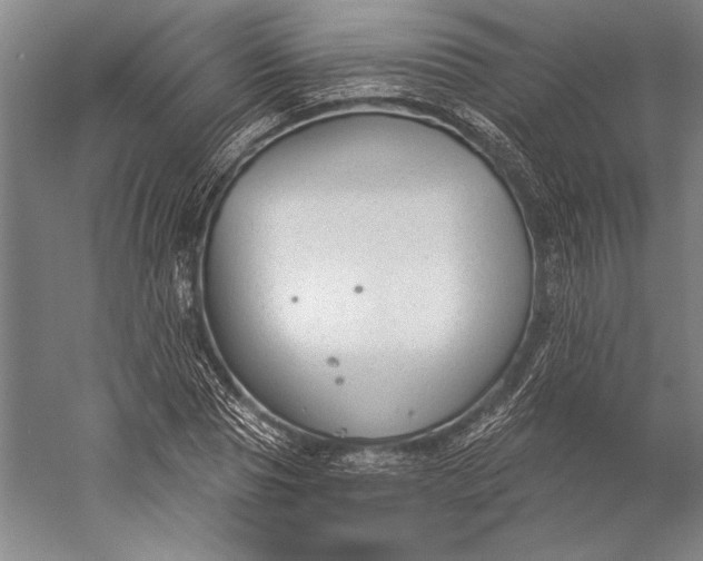 X0000056350929200509091552