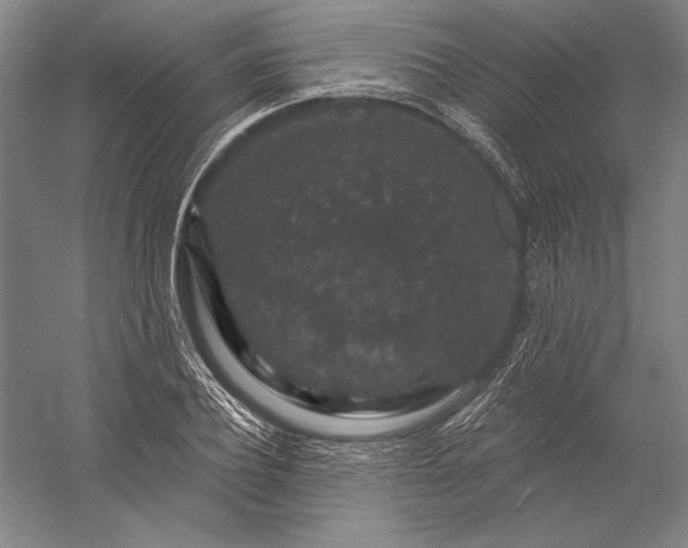 X0000056350932200509091552