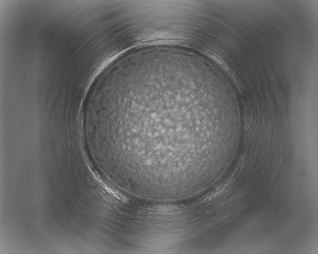 X0000056350933200509091552