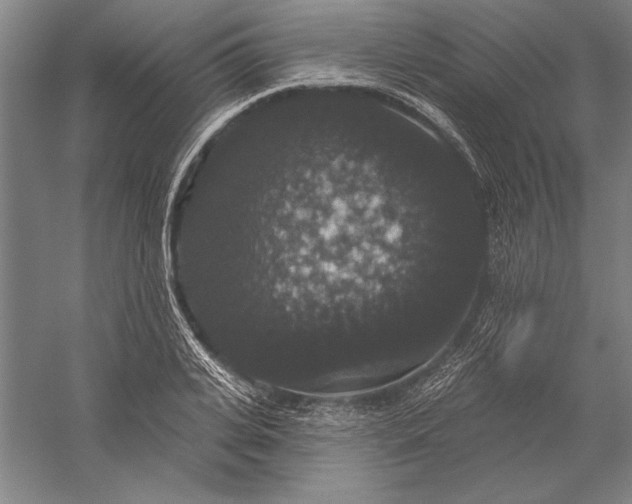 X0000056350935200509091552