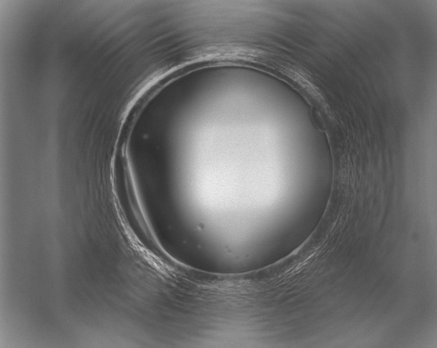 X0000056350936200509091552