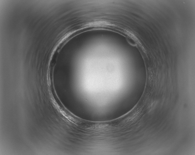 X0000056350939200509091552