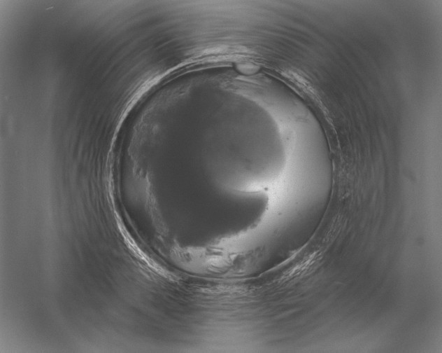 X0000056350941200509091553