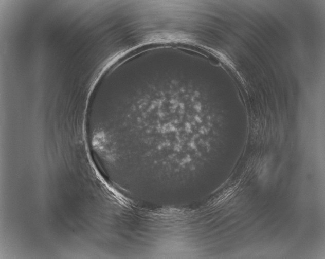 X0000056350943200509091553