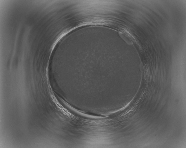 X0000056350944200509091553