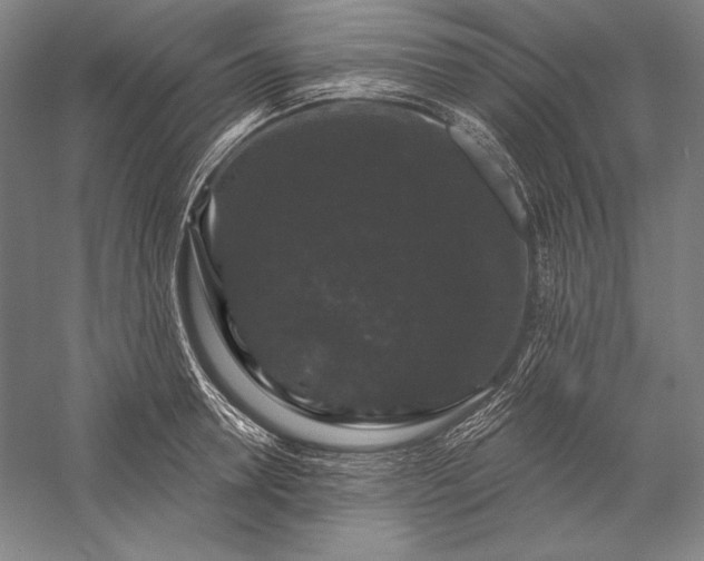 X0000056350946200509091553