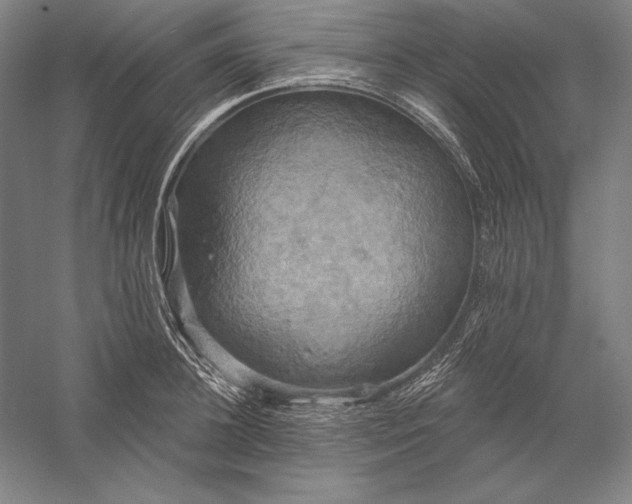 X0000056350948200509091553