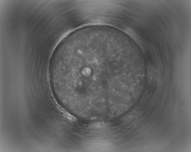 X0000056350950200509091553