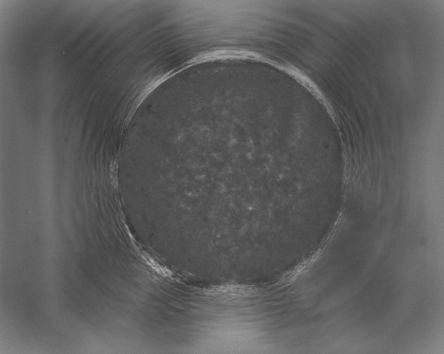 X0000056350953200509091553