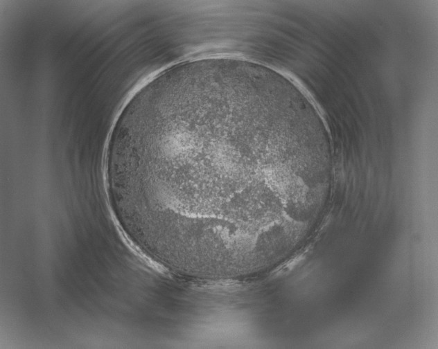 X0000056350957200509091553