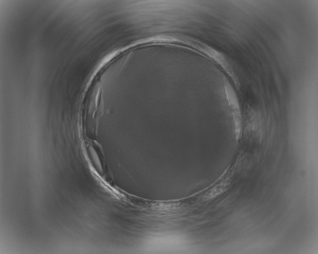 X0000056350958200509091553