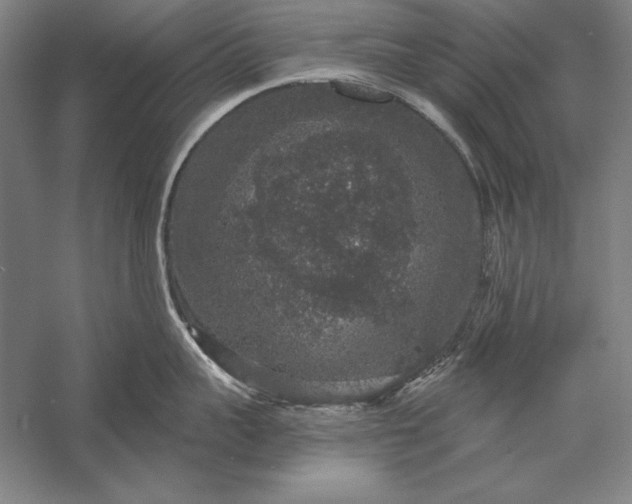 X0000056350959200509091553