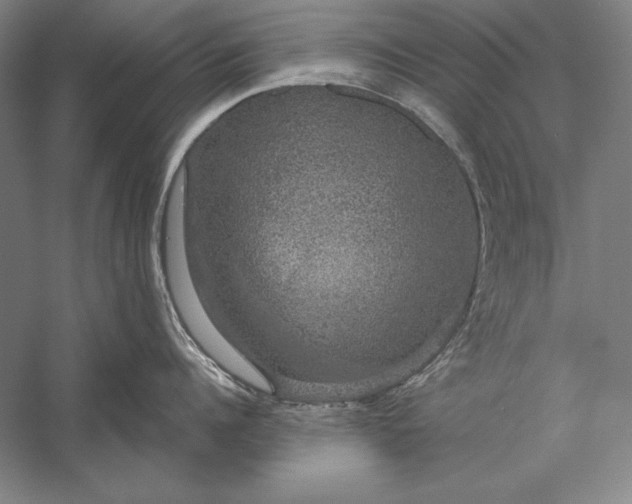 X0000056350960200509091553