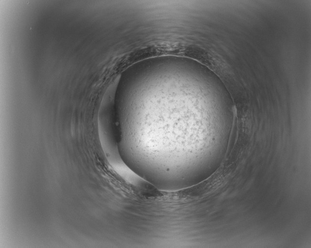 X0000056350961200509091552