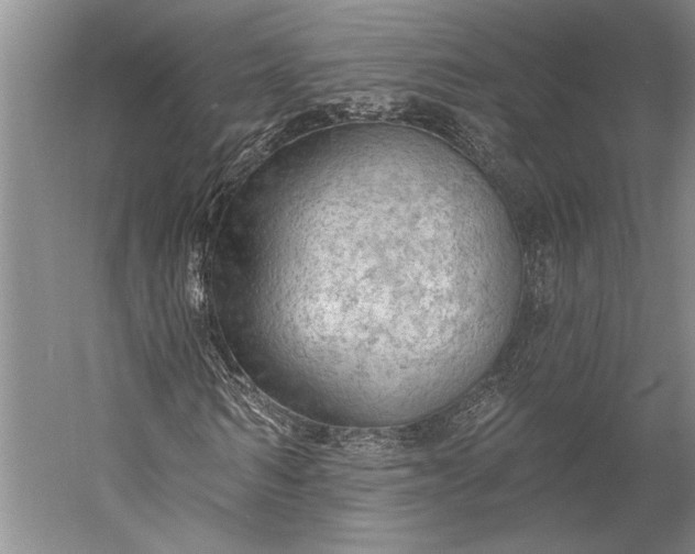 X0000056350962200509091552