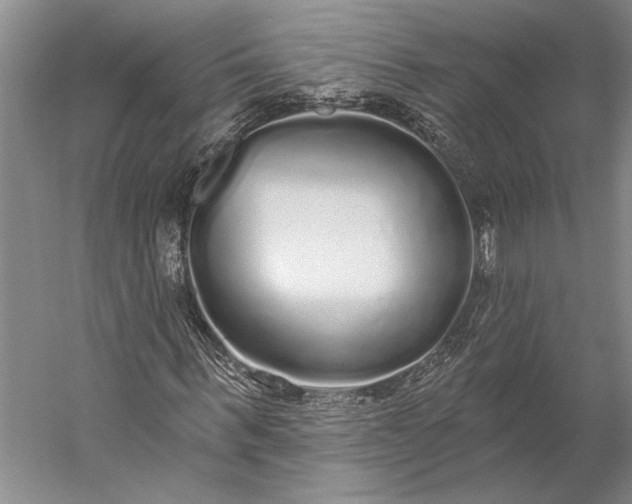 X0000056350963200509091552