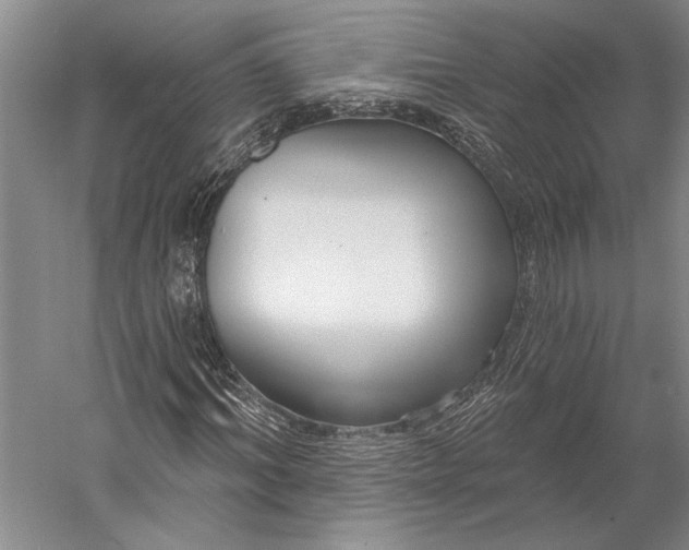 X0000056350964200509091552