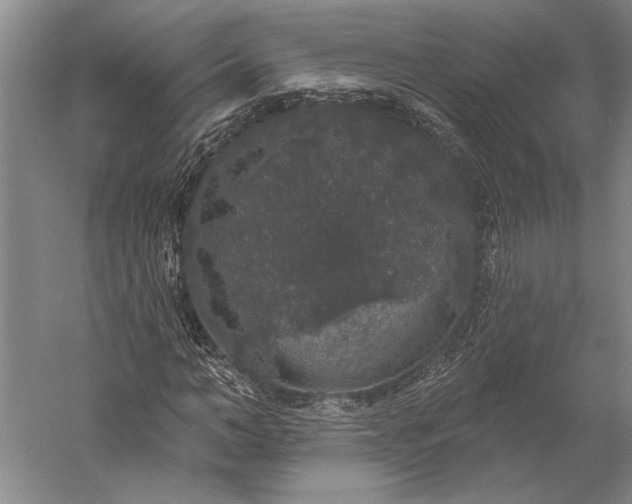 X0000056350966200509091552