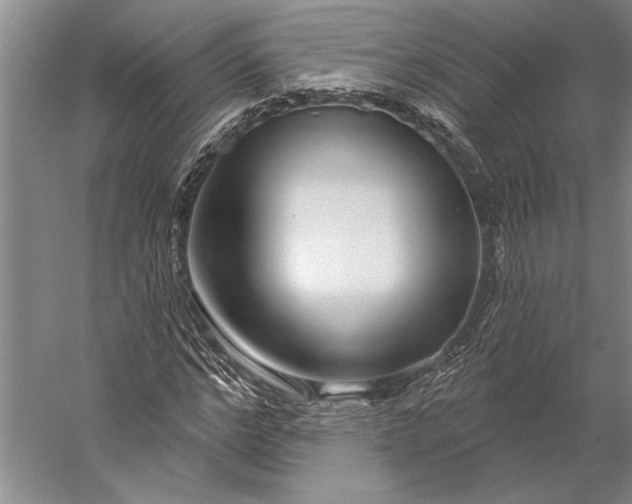 X0000056350968200509091552