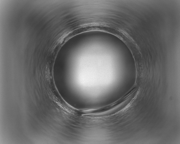 X0000056350969200509091552