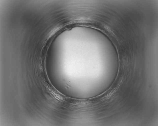 X0000056350970200509091552