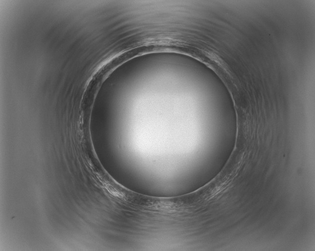 X0000056350971200509091552