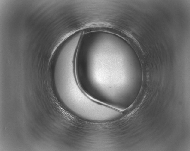 X0000056350973200509091552