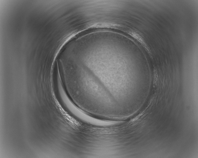 X0000056350976200509091552