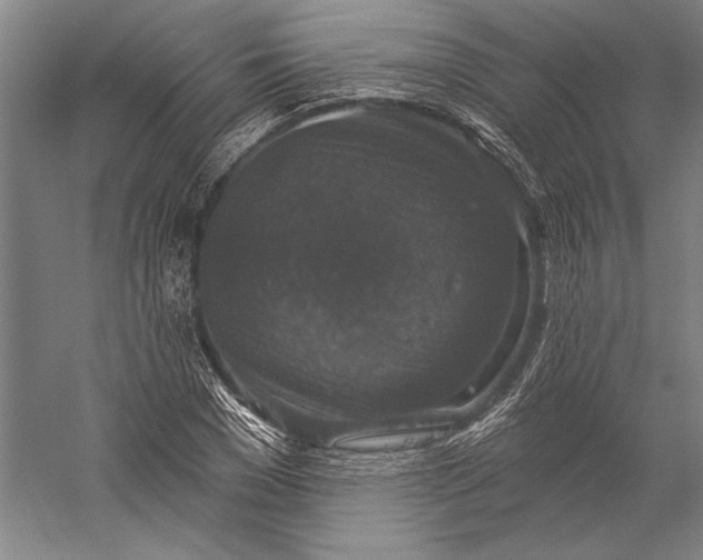 X0000056350977200509091552