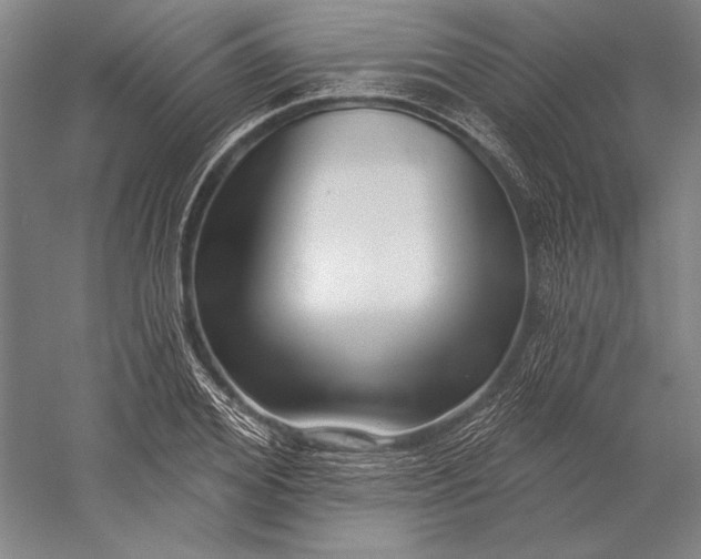 X0000056350980200509091552