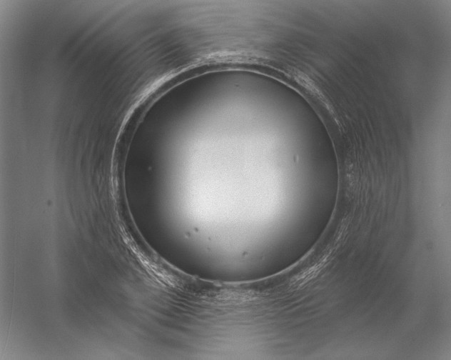 X0000056350981200509091552