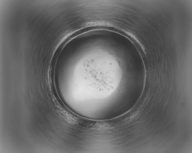 X0000056350983200509091552