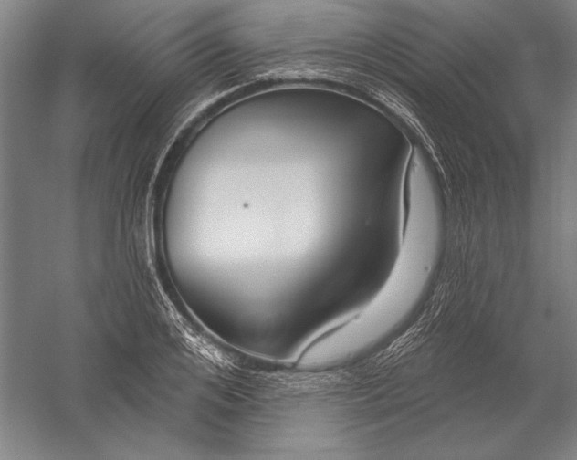 X0000056350984200509091552