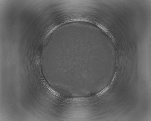 X0000056350985200509091552