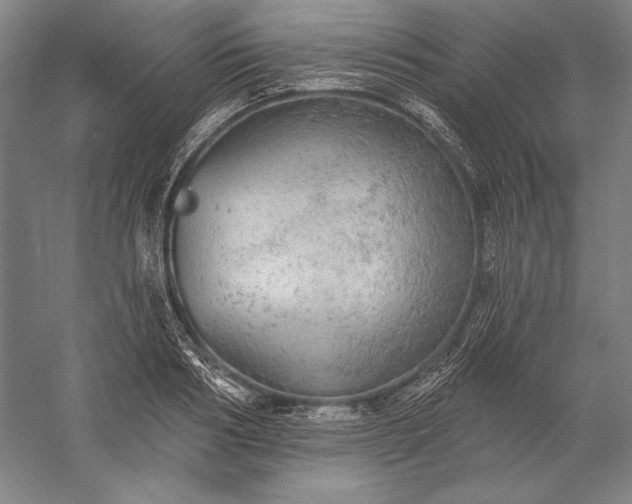 X0000056350986200509091552