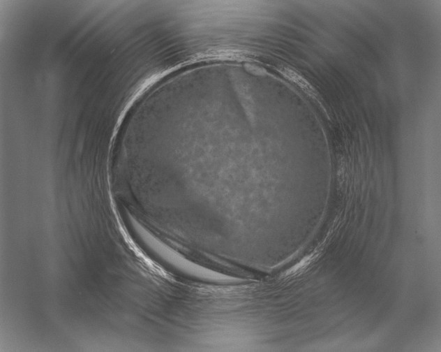 X0000056350989200509091552