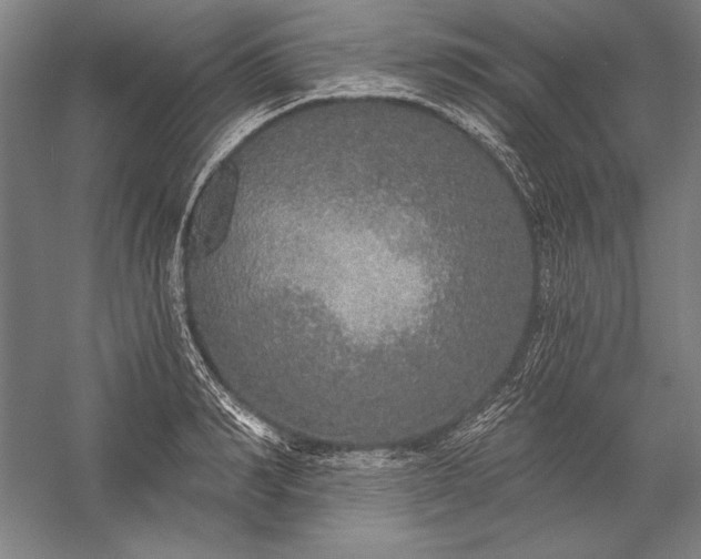 X0000056350990200509091552