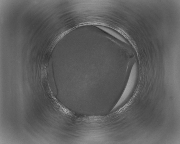 X0000056350993200509091551