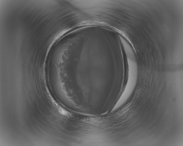 X0000056350995200509091551