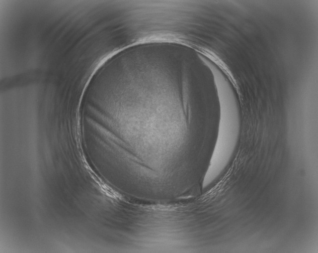 X0000056350996200509091551