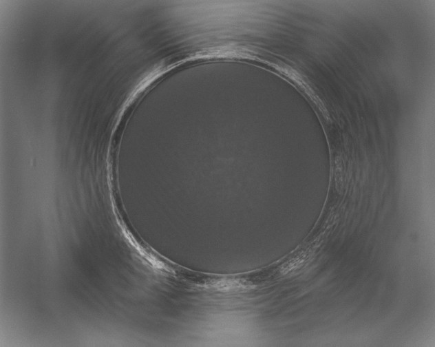 X0000056350998200509091551