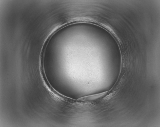 X0000056350999200509091551