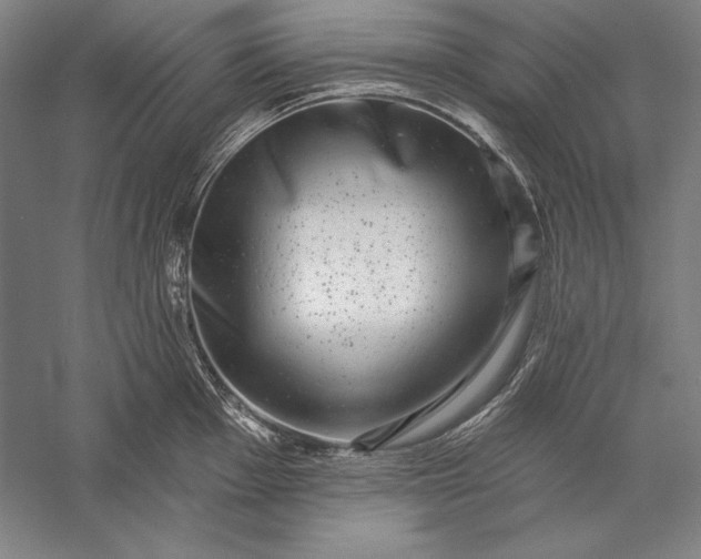 X0000056351001200509091551