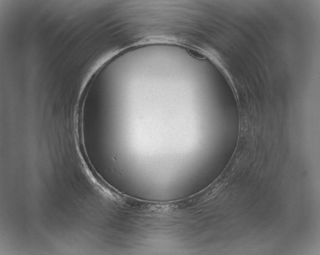 X0000056351003200509091551