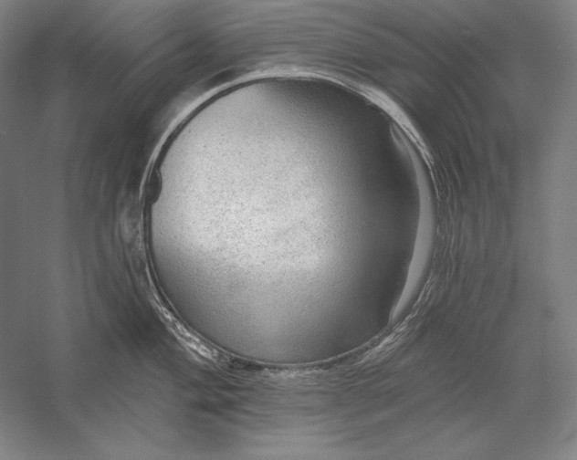 X0000056351004200509091551