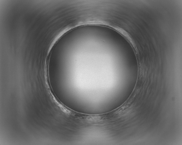 X0000056351006200509091551