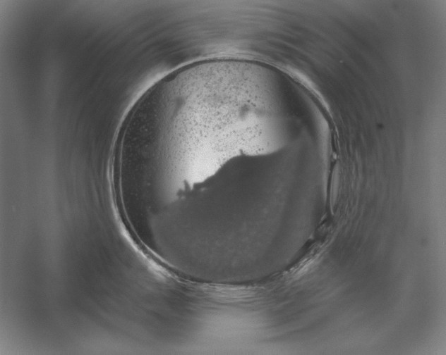 X0000056351007200509091551